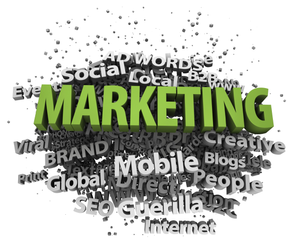 Agence Conseil en Marketing Digital
